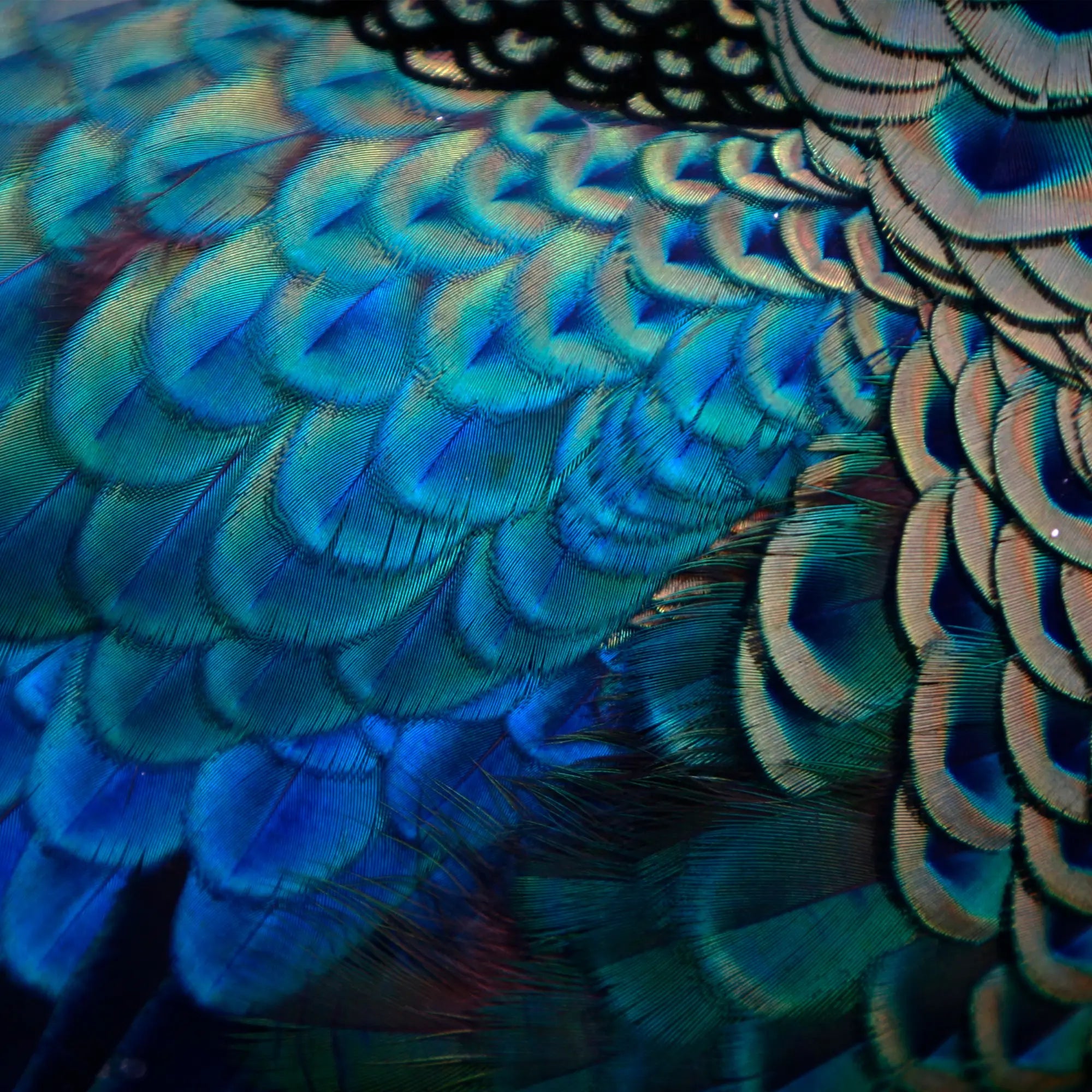 Abstracte textuur van exclusieve materialen gebruikt in TOUTESTBELLE designs, symbool voor vakmanschap, creativiteit en aandacht voor detail.